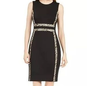 Calvin Klein Black Dress with Leopard Accents